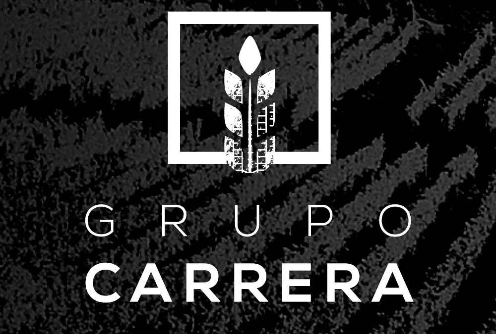 Grupo Carrera